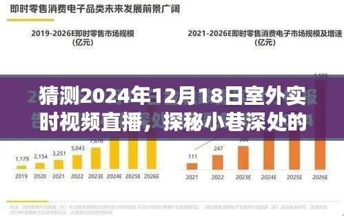 探秘小巷深处的独特风味，室外实时视频直播揭秘隐藏版特色小店，带你领略独特风味，2024年12月18日独家直播！