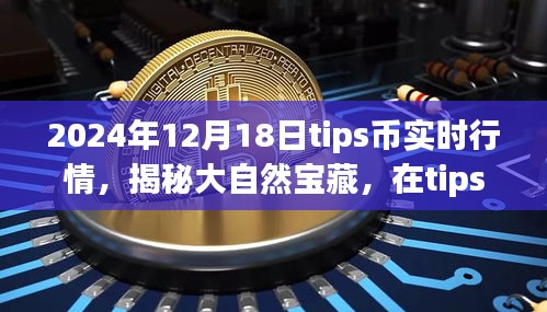 揭秘大自然宝藏，探索tips币实时行情与心灵之旅的宁静角落（XXXX年XX月XX日）