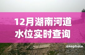 鸟入樊笼 第4页