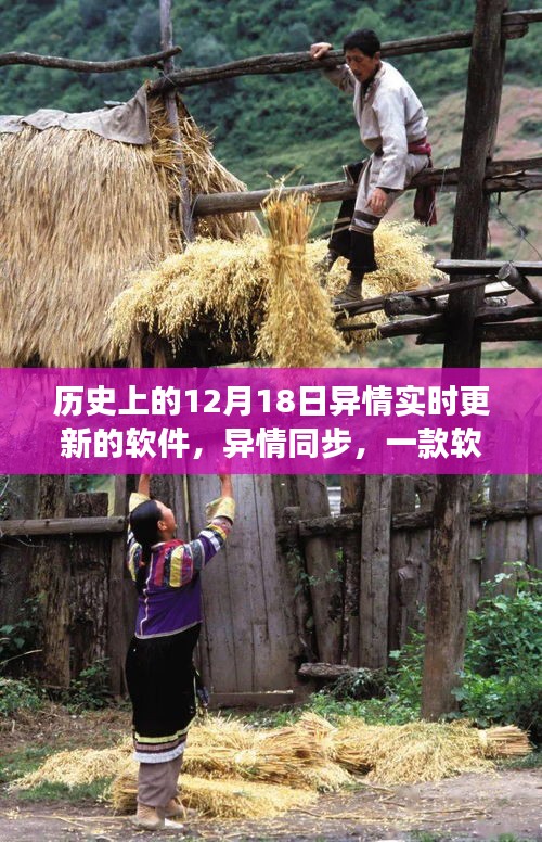 五角六张 第4页