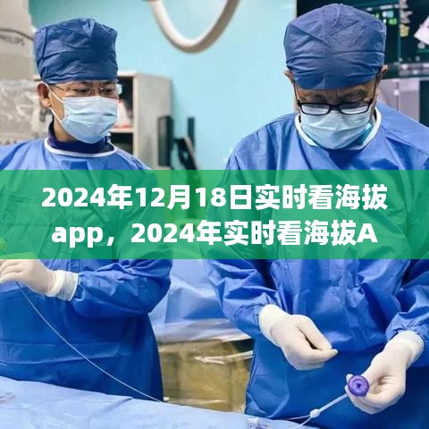 2024年实时看海拔App使用指南，从初学者到进阶用户的全面教程