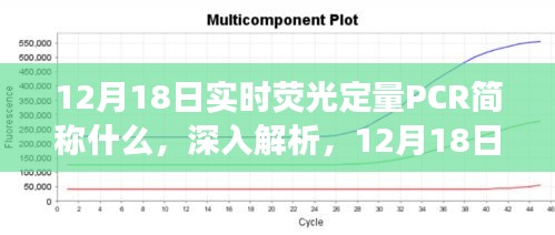 12月18日实时荧光定量PCR，特性、体验、竞争对比及目标用户解析