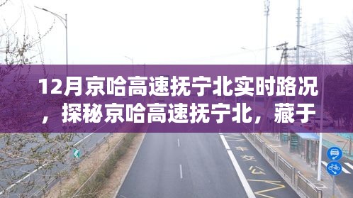 京哈高速抚宁北实时路况与小巷风情小店探秘
