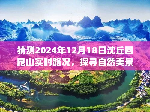 寒蝉僵鸟 第4页