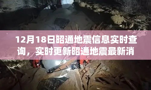 贵人善忘 第4页