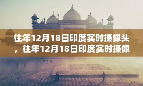 昙花一现 第4页
