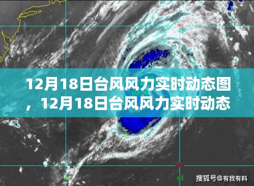 箪瓢陋巷 第4页