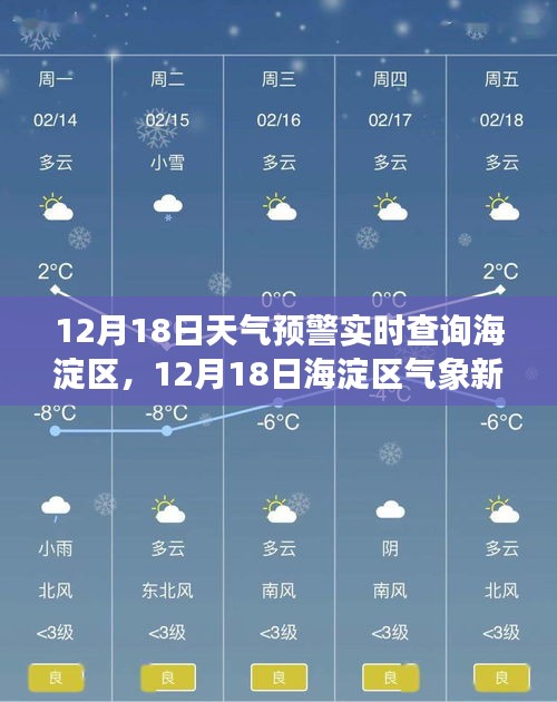 神采飞扬 第4页