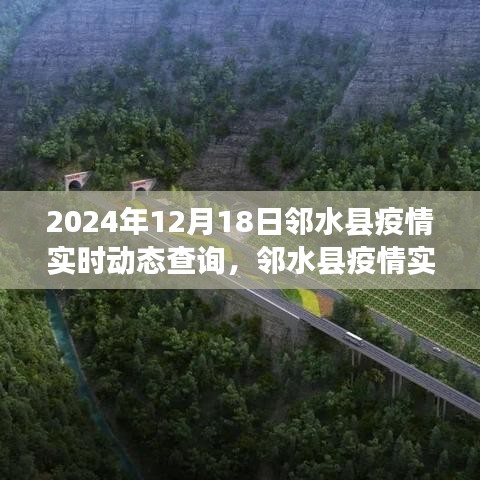 邻水县疫情最新动态实时查询（小红书版），共筑健康防线，掌握最新消息