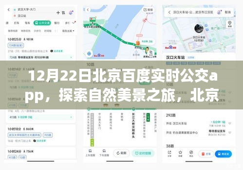 大事夸张 第4页