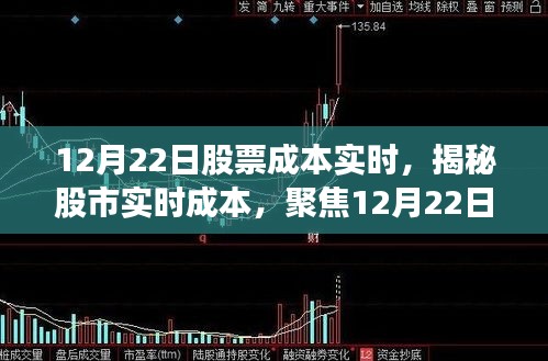 揭秘股市实时成本，聚焦股票成本动态分析与实时数据解读（12月22日）