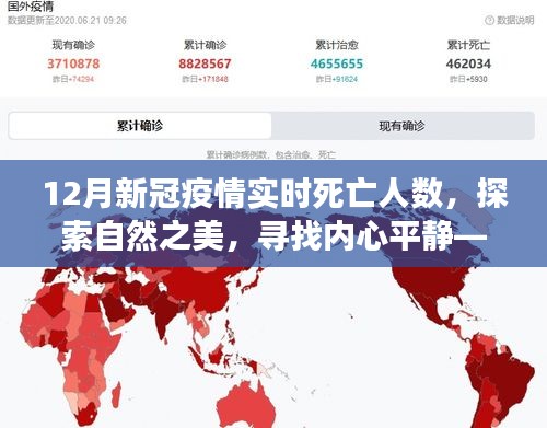 疫情下的探索之旅，自然之美与内心平静的追寻，不只是数字游戏