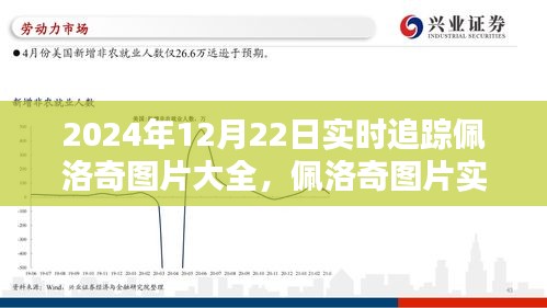 佩洛奇图片实时追踪专刊，2024年12月22日佩洛奇图片大全及指南