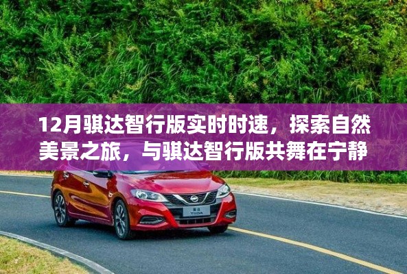 骐达智行版十二月实时时速，与自然美景共舞的探索之旅