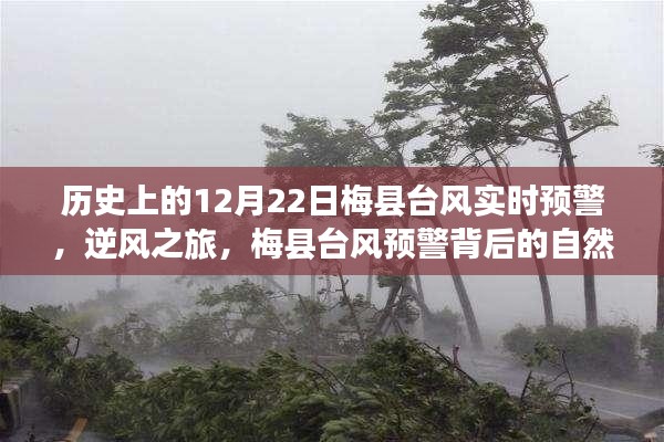 梅县台风实时预警背后的逆风之旅与自然探索揭秘