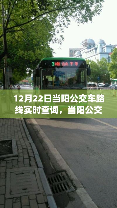 12月22日当阳公交路线实时查询，便捷掌握出行信息的途径