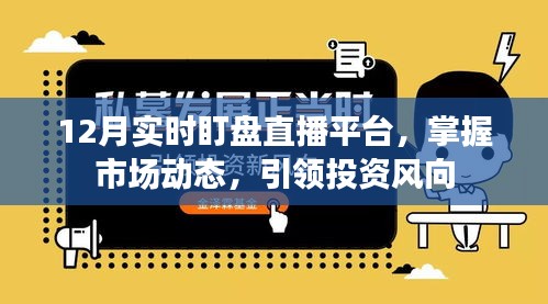 掌握市场风向，实时盯盘直播引领投资趋势