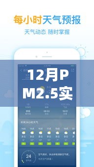 夫妻本是同林鸟 第4页