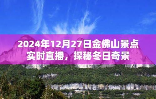 金佛山景点直播探秘冬日奇景