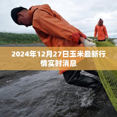 嘴是两张皮 第5页