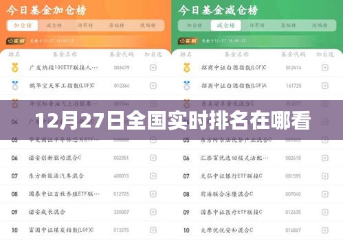 全国实时排名查询指南，最新排名尽在掌握