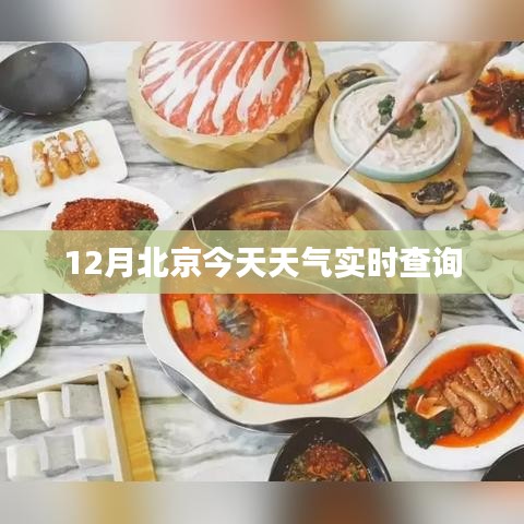 箭拔弩张 第4页