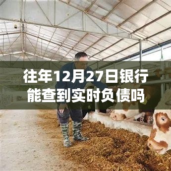 银行实时负债查询时间解析