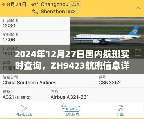 2024年ZH9423航班信息详解及实时查询