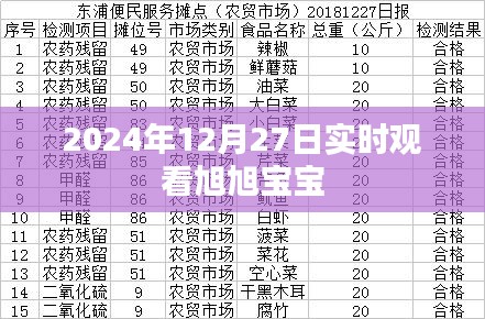 旭旭宝宝直播实时观看 2024年12月27日