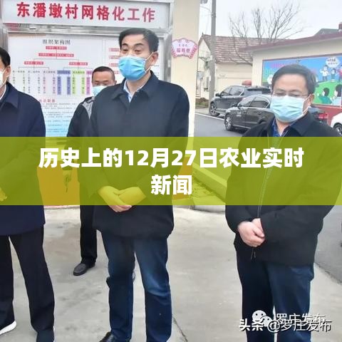 下马看花 第4页