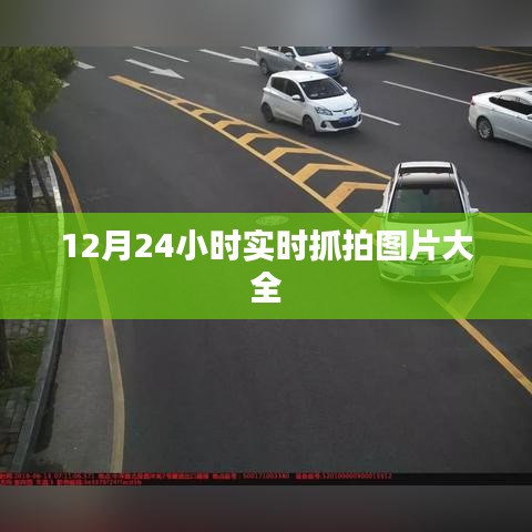 12月24小时实时抓拍图片集锦