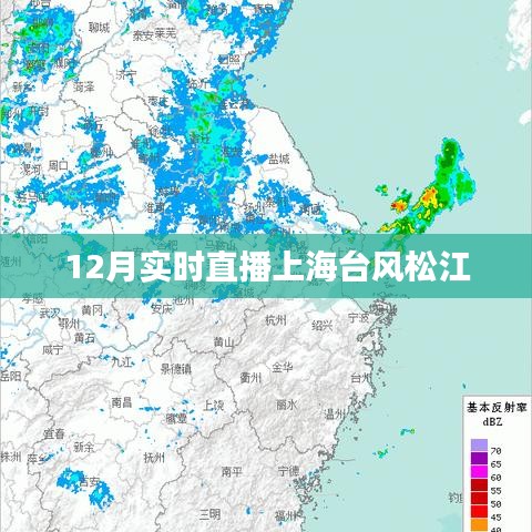 上海台风实时直播，直击松江风暴