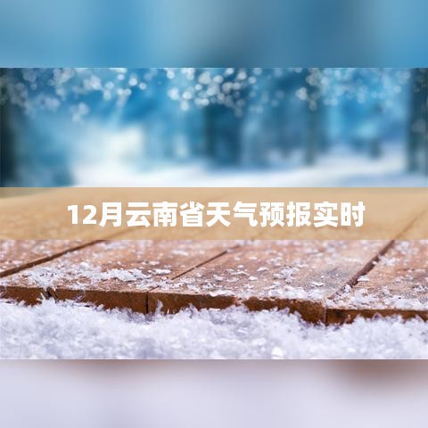 纲举目张 第3页