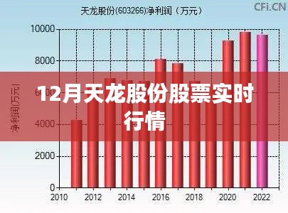 天龙股份股票实时行情分析（12月版）