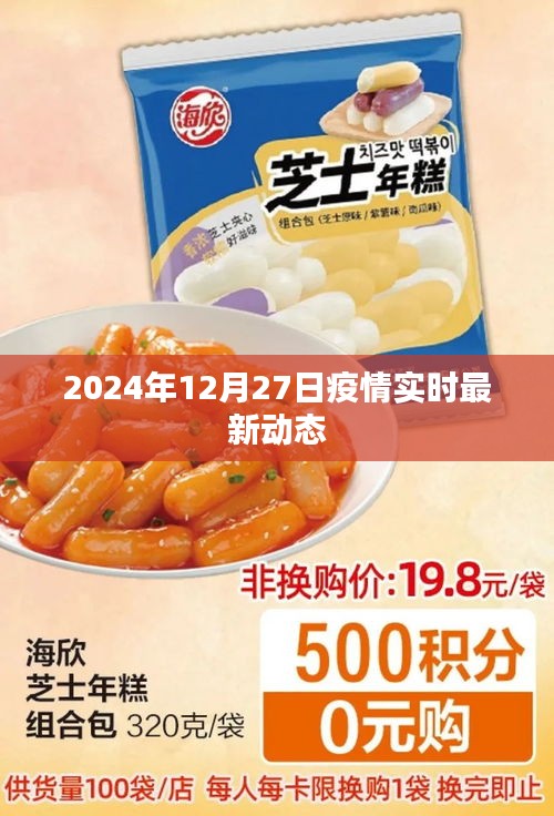 疫情最新动态，全球疫情趋势分析（截至2024年12月27日）