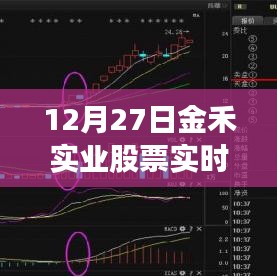 金禾实业股票最新实时行情（12月27日）