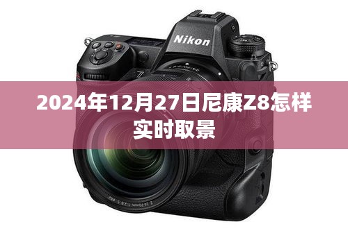 芒屩布衣 第4页