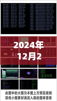 监控录像实时做假警示与反思，2024年事件反思