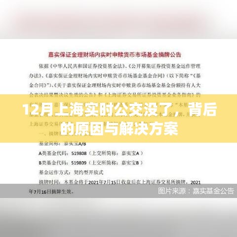 鸟飞兔走 第3页