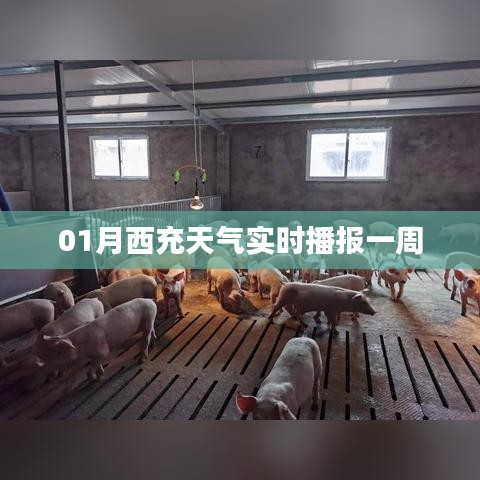 朴实无华 第4页
