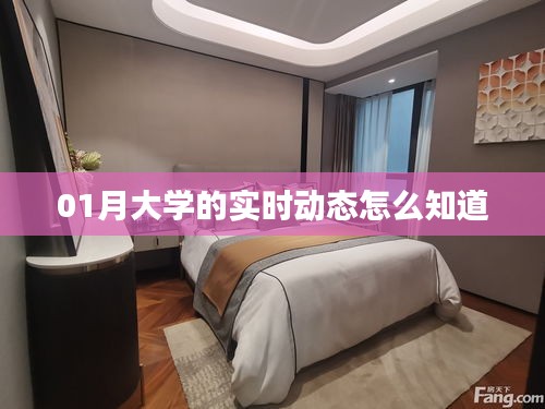 如何获取大学实时动态资讯