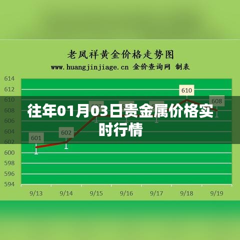 飞箭如蝗 第3页