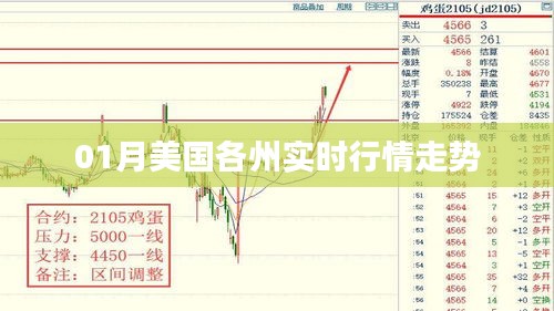 炊粱跨卫 第4页