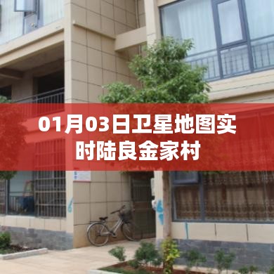 卫星地图实时更新，陆良金家村最新动态地图