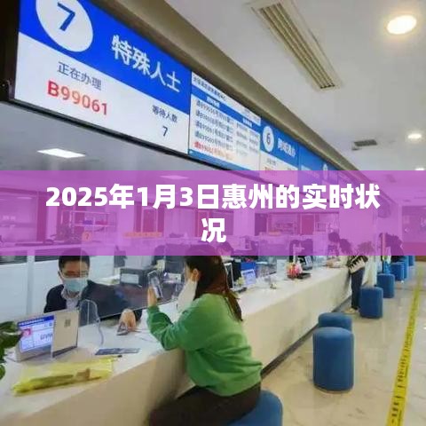 惠州实时状况，2025年1月3日深度观察