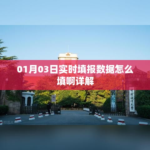 实时填报数据详解，如何正确填写01月03日的申报数据
