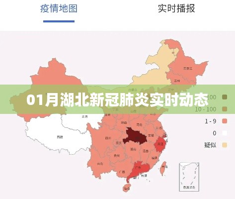 没张倒置 第3页