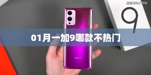 只争朝夕 第4页