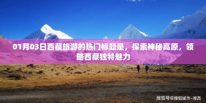 司空见惯 第4页