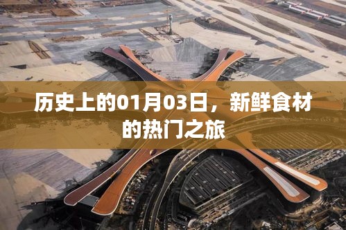 杳无音信 第4页
